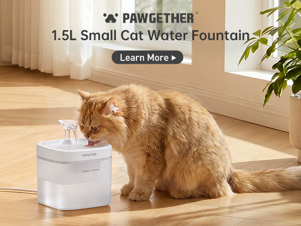 cat water fountain