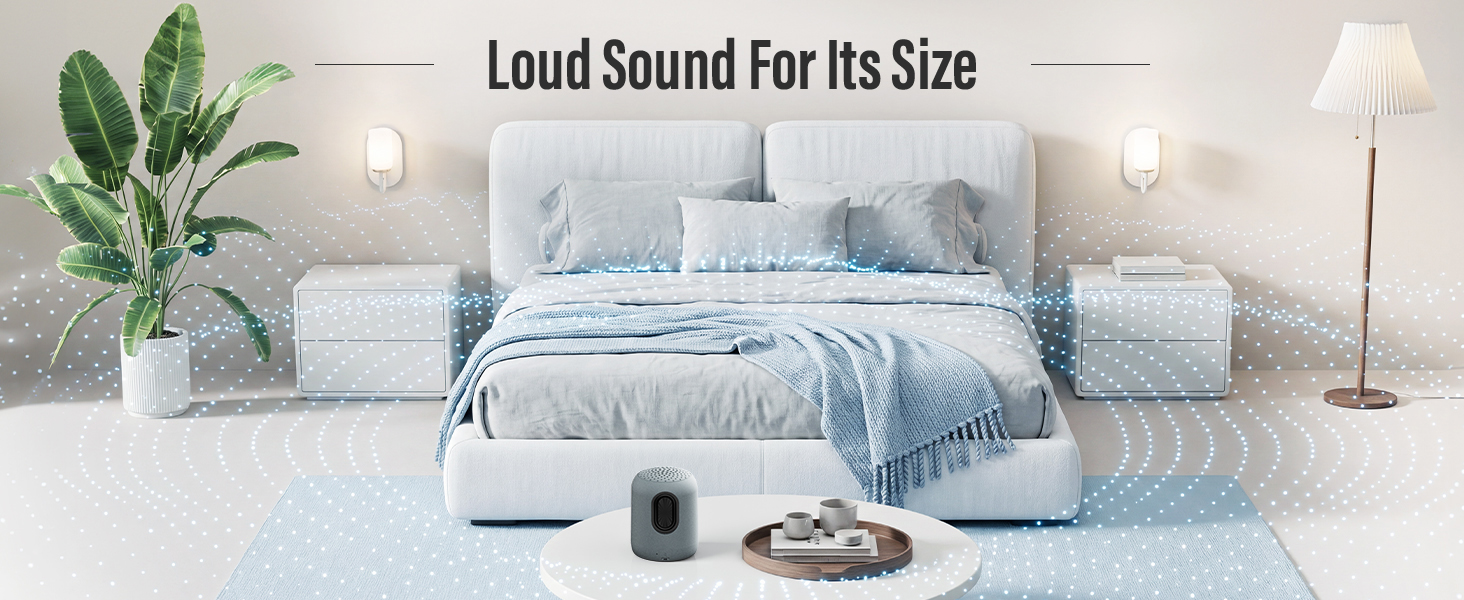 BLUETOOTH SPEAKER