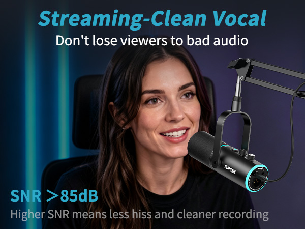 Streaming-Clean Vocal