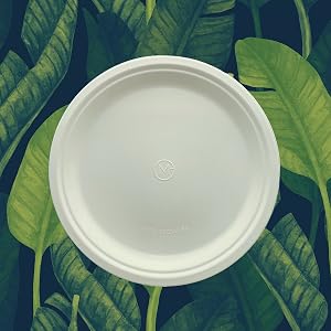 paper plates 9 10 disposable plastic chinet stackman dixie bamboo heavy duty eco bamboo friendly