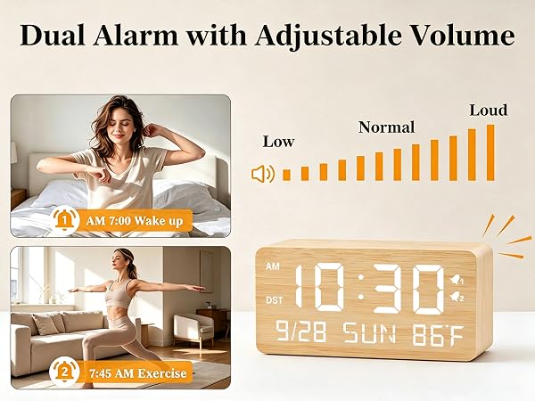 dual alarm