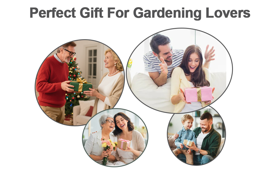 perfect present
