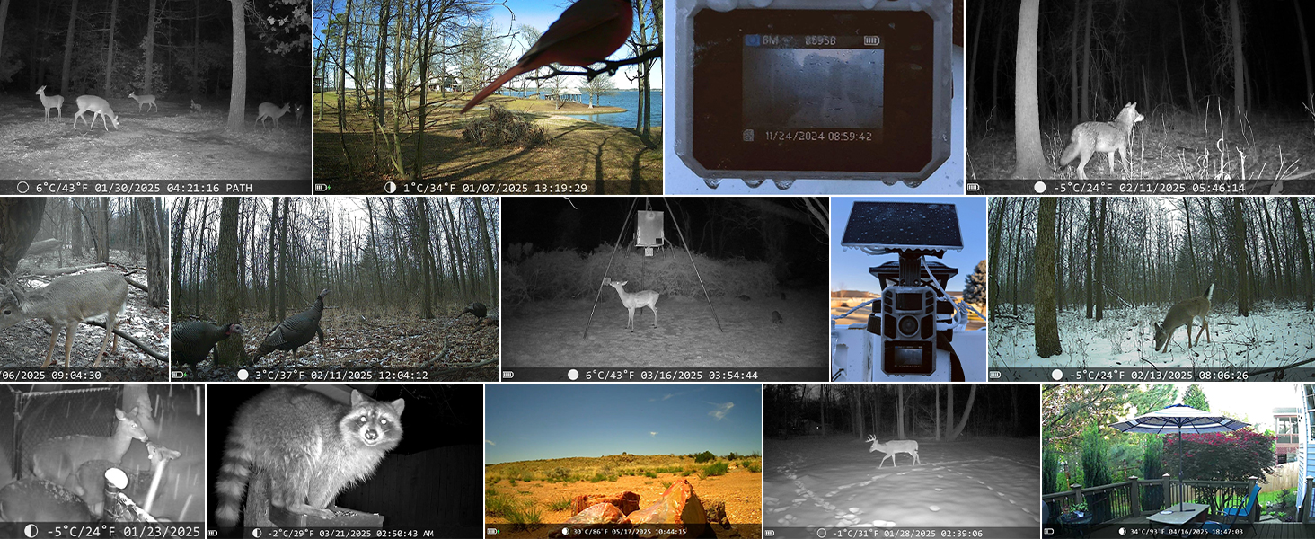 Trail Camera Full Color 6K 64MP Solar WiFi Game Hunting Camera