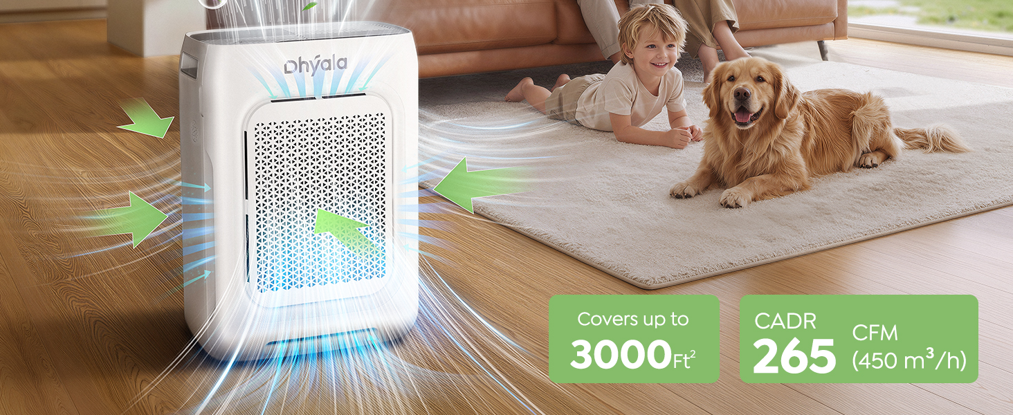 air purifier large room