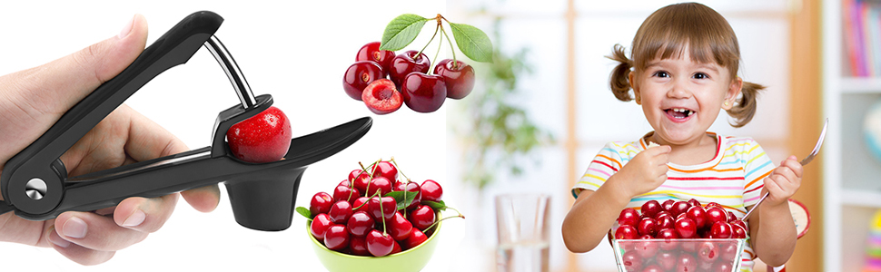 Cherry Pitter