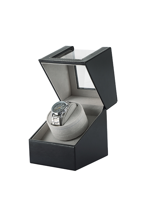 watch case