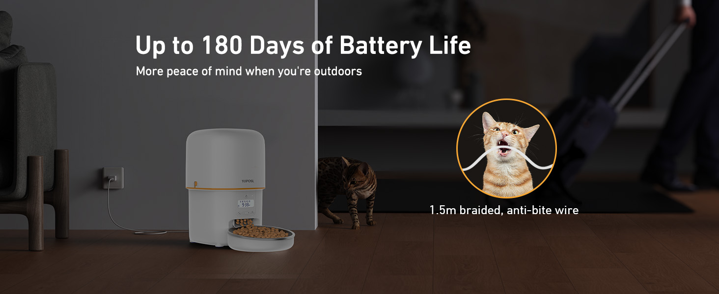 automatic cat feeder cat food dispenser pet feeder