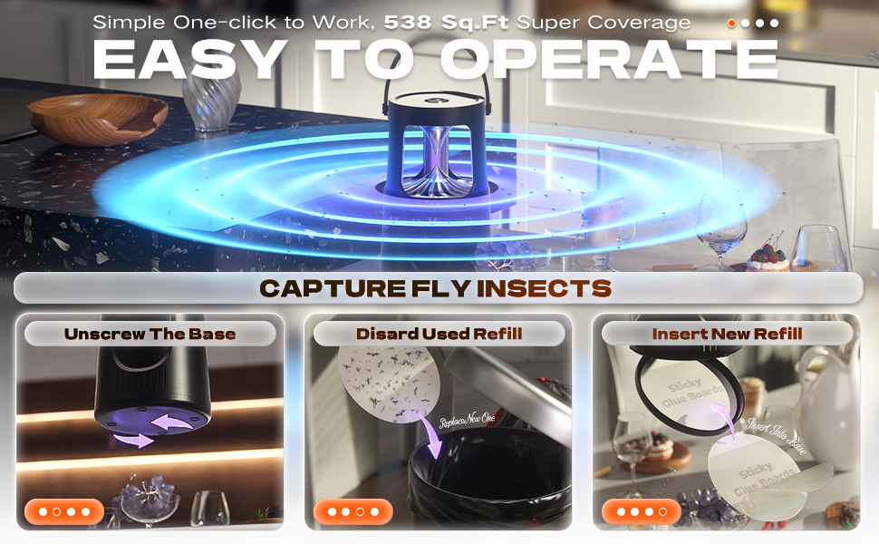 FLY CATCHER