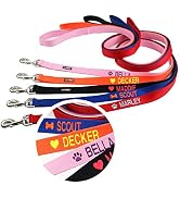 GoTags Personalized Dog Leash, Embroidered with Pet Name or Custom Text, Heavy Duty Washable Nylo...