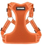 Best Pet Supplies Voyager Adjustable Dog Vest Harness Breathable No Pull Harness for Small, Mediu...