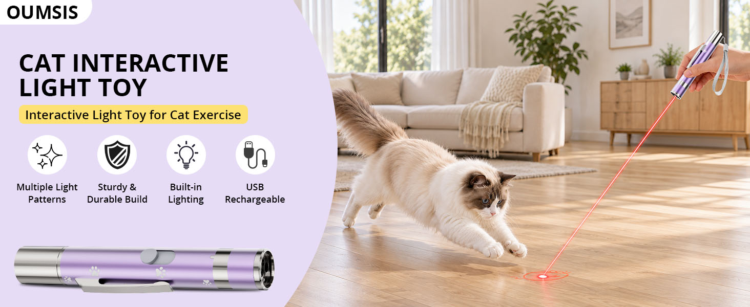 cat toys
