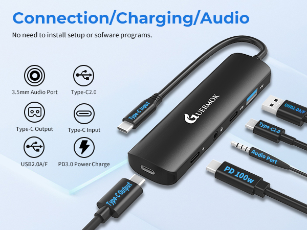 PD100W Charge