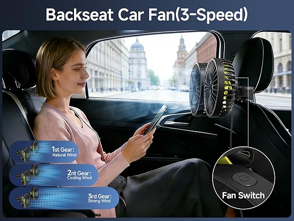 dual fan for car backseat