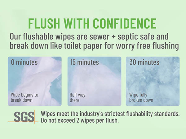 G19 Flushable Wipes 6