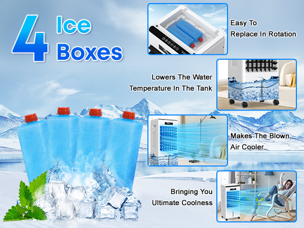 4 lce Boxes