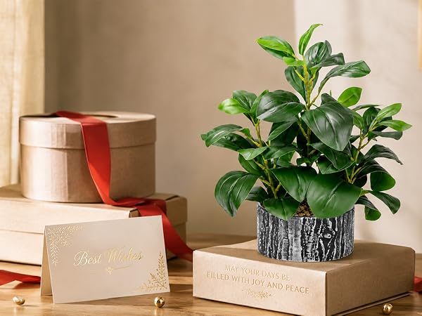 artificial green potted plant holiday gift display