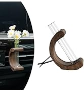 Rislobx Car Vase Vent Clip, Flower Car Vase Clip Wood Auto Vase Glass Tube Car Vent Decor Interio...