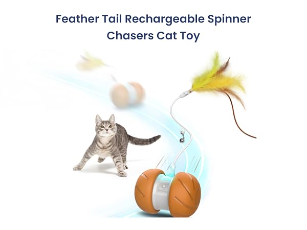 Interactive feather cat toy