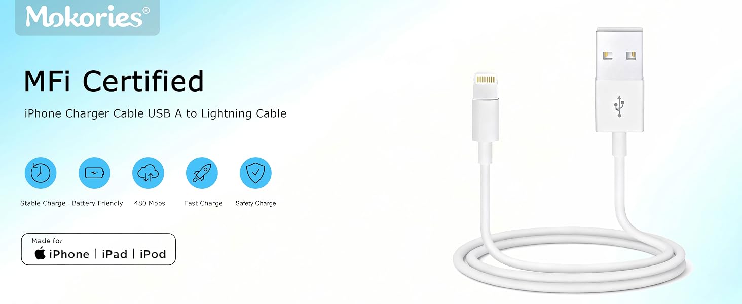 Lightning to USB Cable