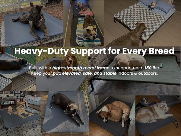 dog bed for large dogs