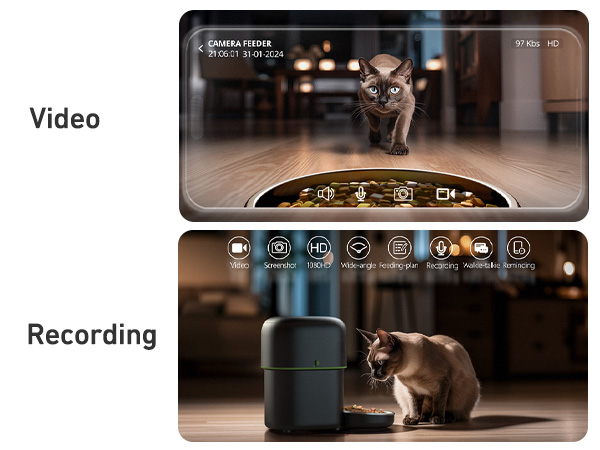 automatic cat feeder with camera
