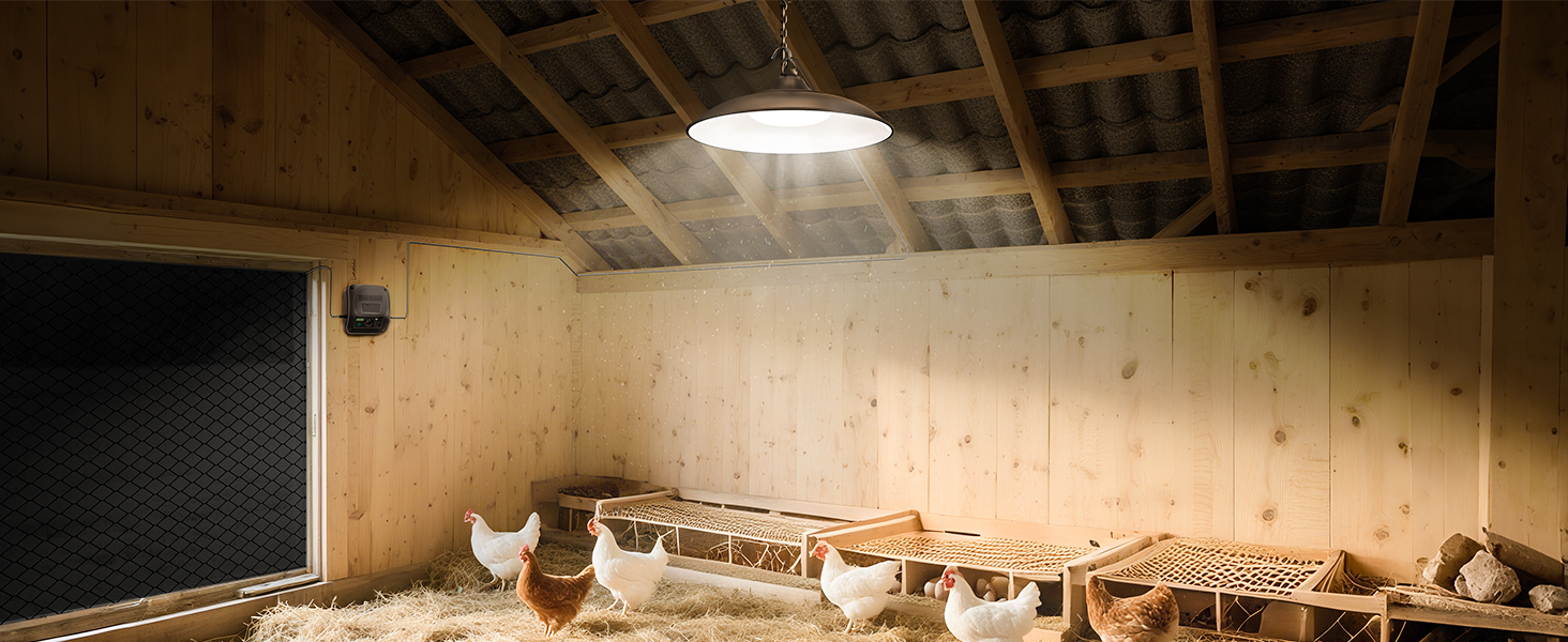 solar shed light