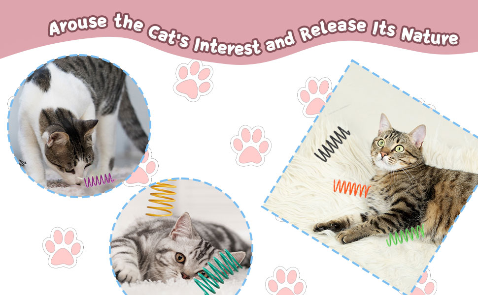 cat spring toys