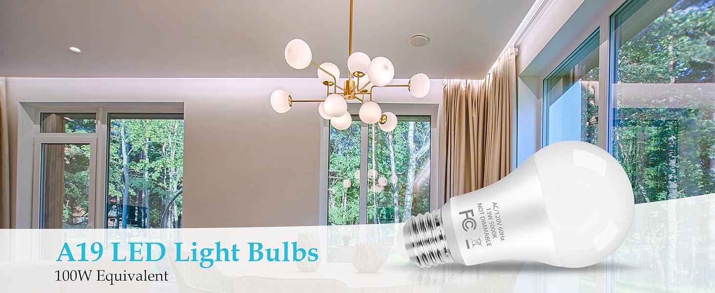 light bulb