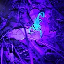 goose neck uv lamp for nails