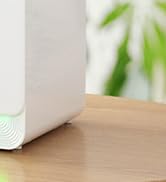 Livatro 6L Smart Warm & Cool Mist Humidifier for Bedroom, Top Fill,Alexa & App Control,60Hr Runti...