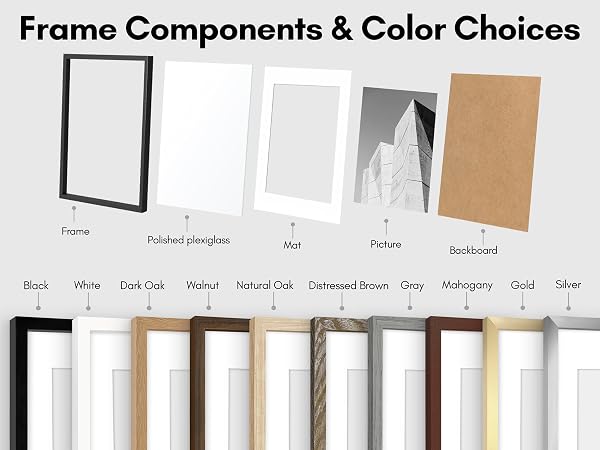 Frame Components and Color Choices