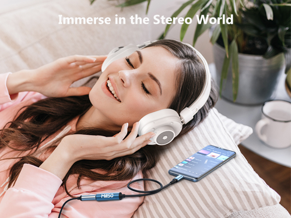 USB C to 1/4 female TRS audio stereo adapter
