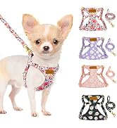 SlowTon No Pull Dog Harness with Leash - Soft Lightweight Floral Pattern Puppy Harness, Adjustabl...