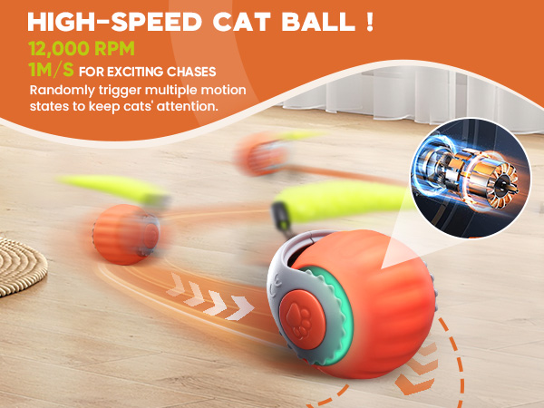 cat toy ball