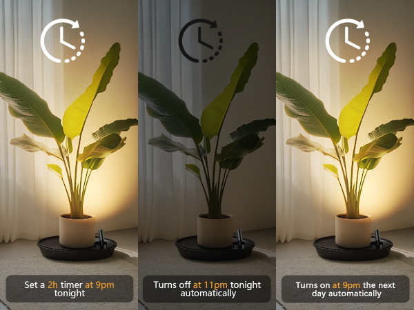 Indoor wall lamps with a timing function are suitable for plant illumination and collection display