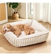 Jolifield Calming Dog Bed for Small Medium Dogs 24''x20'', Rectangle Orthopedic Soft Pet Sofa Bed...