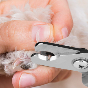 dog nail clippers for medium dogs