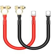 Linkstyle 2PCS 2AWG 12 Inch Battery Cables with 3/8" Terminals Lugs and Connectors Clamps, 30CM B...