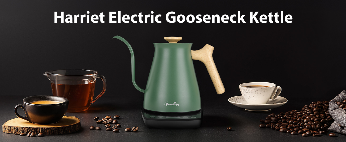 gooseneck electric kettle
