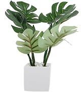 Miniature Dollhouse Plant Decoration Realistic Bonsai Model Potted Plant Ornament Dollhouse Furni...
