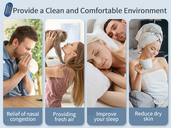 demineralization cartridge for humidifier