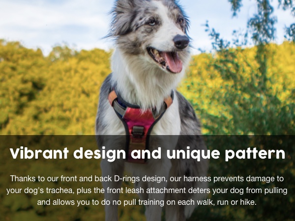 urban harness