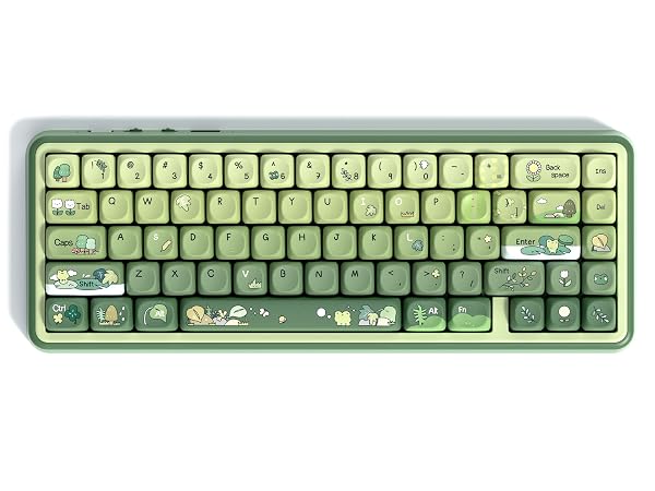 Green Frog Keycap Set, PBT Custom Keycaps 60% 75% 100%,dye Sublimation Keyboard Key caps,MOA Profile