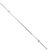 Sunny Health & Fitness 60 Inch Threaded Chrome Barbell Bar, 1 Inch Barbell Diameter with Ring Col...