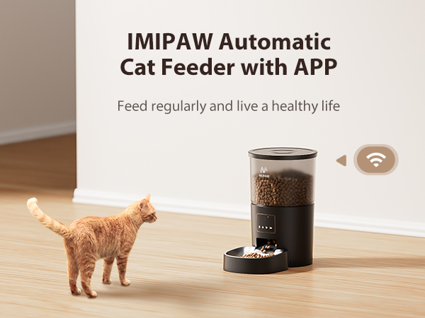 automatic cat food dispenser