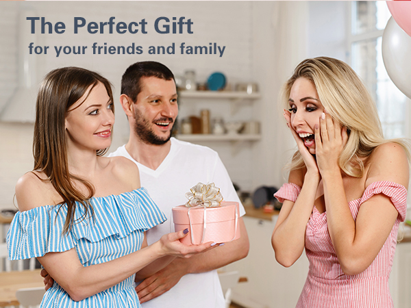 Milk Frother Handheld