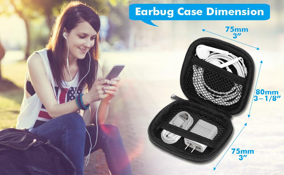 Small case for earbug