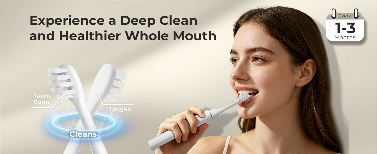 replacement toothbrush heads