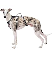 Escape Proof Dog Harness