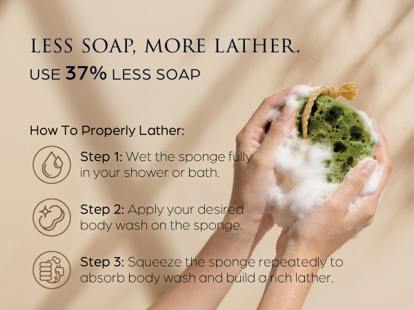 Exfoliating sponge